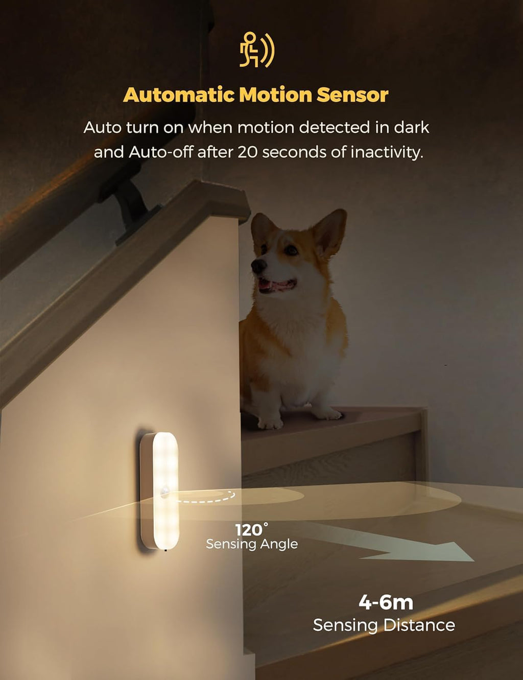 Sensor Light for Home
