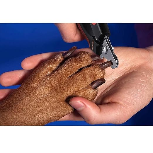 Professional Animal Nail Cutter Clipper Trimmer Filer  for Small, Medium and Large Dogs, Puppies, Cats and Kittens Claw Grooming Tool Set (Nail Clipper)